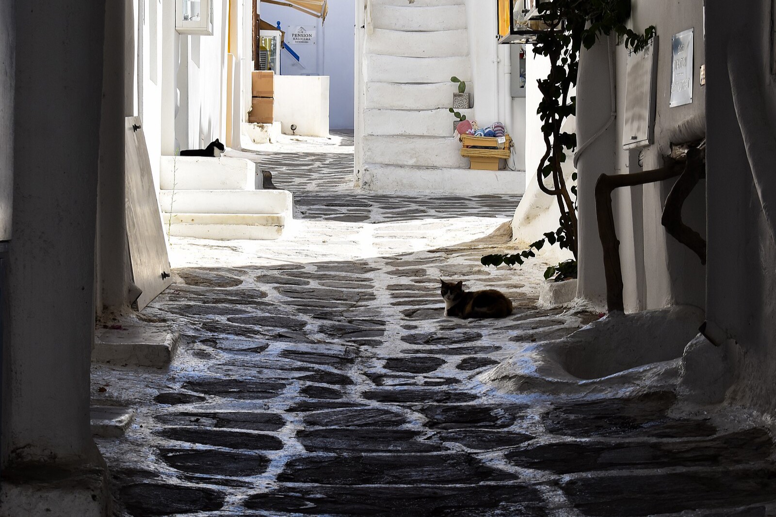 A whitewashed pedestrian street in Chora, Mykonos
