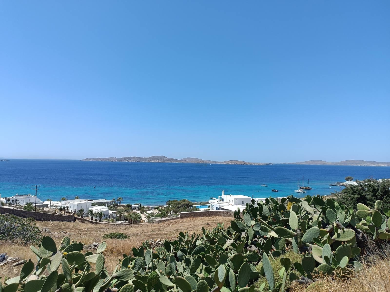 Agios Ioannis bay in Mykonos with cactus foreground and turquoise water.